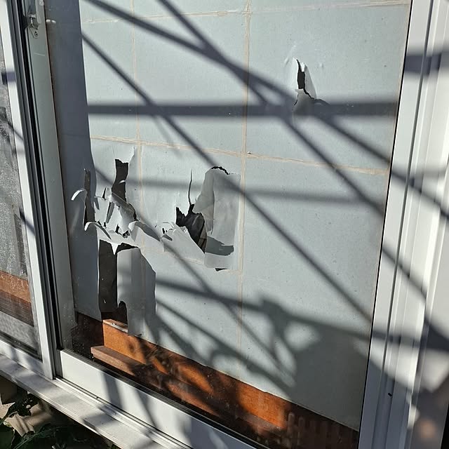 midoriさんの部屋