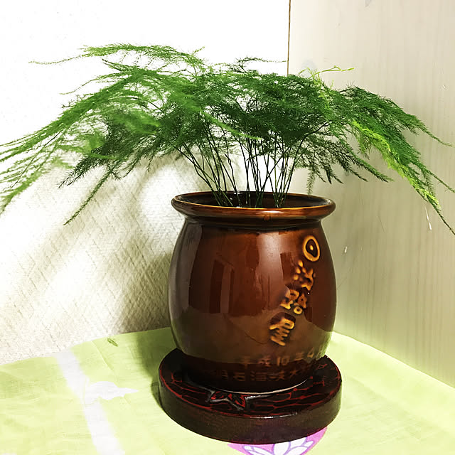 fuyiqian1026さんの実例写真