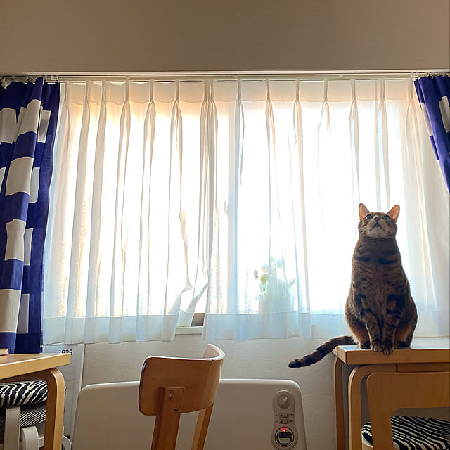 valekさんの実例写真