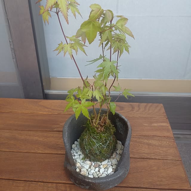 keemo293さんの部屋