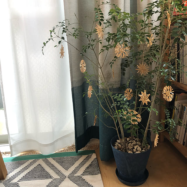 soyota.さんの実例写真