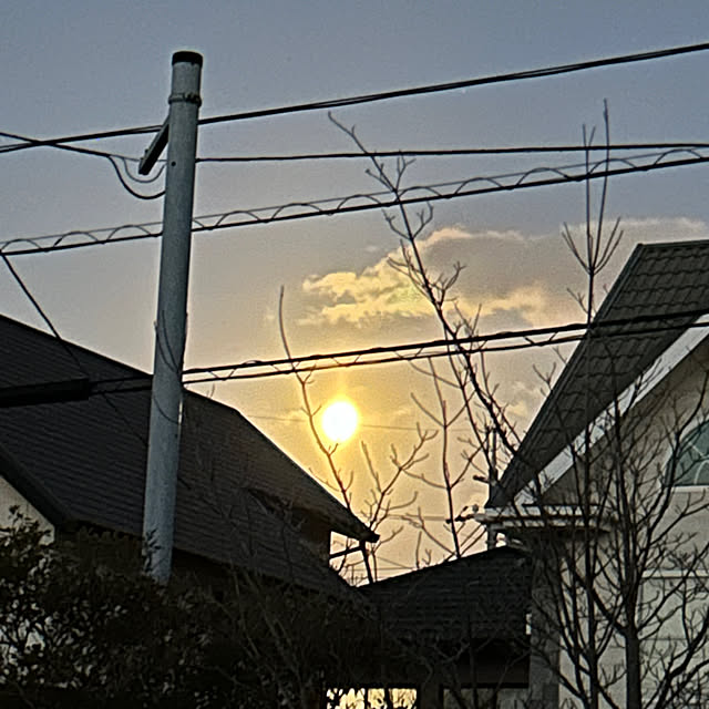 ritsukoさんの部屋