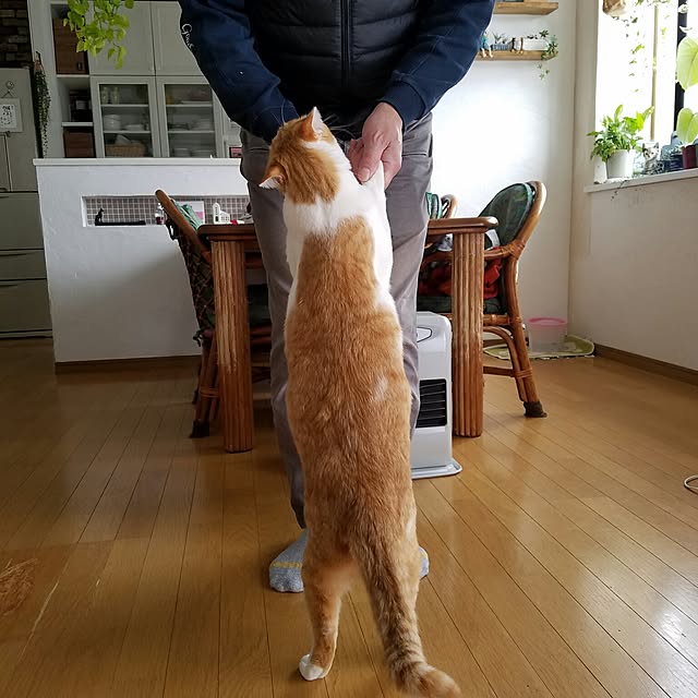 Kinanさんの実例写真