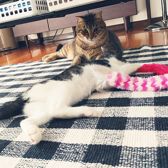 annさんの実例写真