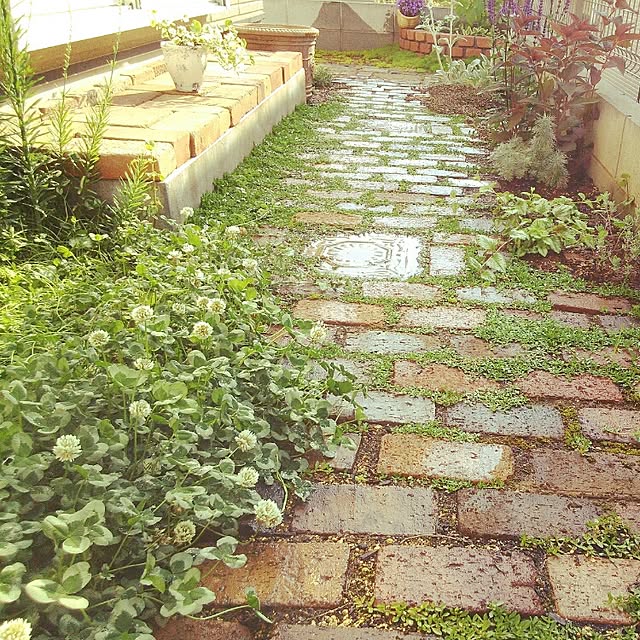 SVsoldiersさんの実例写真