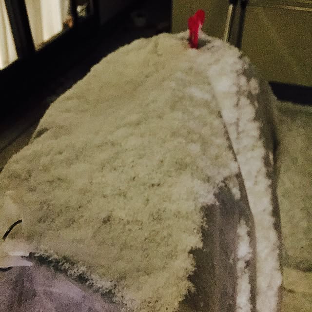 minkokoさんの実例写真