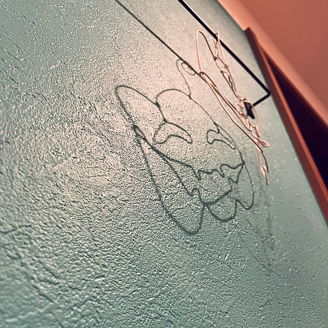 Lionaさんの実例写真
