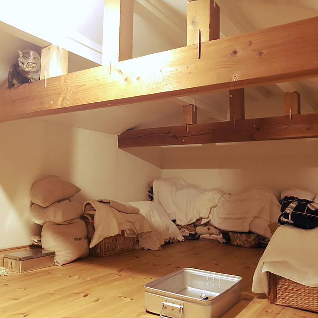 neko-2.2.2runmuさんの実例写真