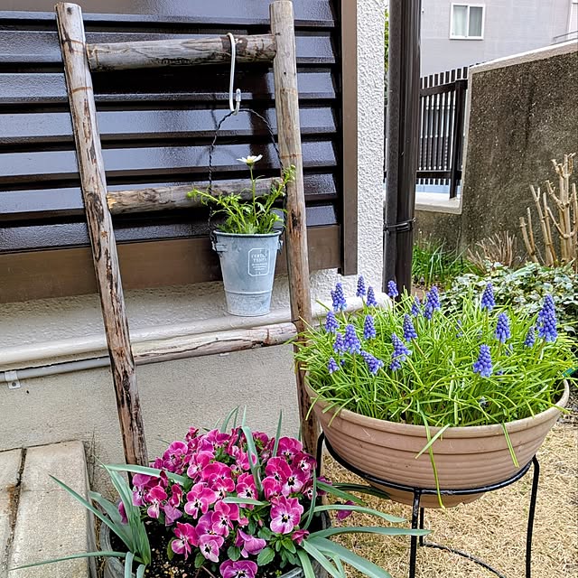 Renさんのお部屋の写真