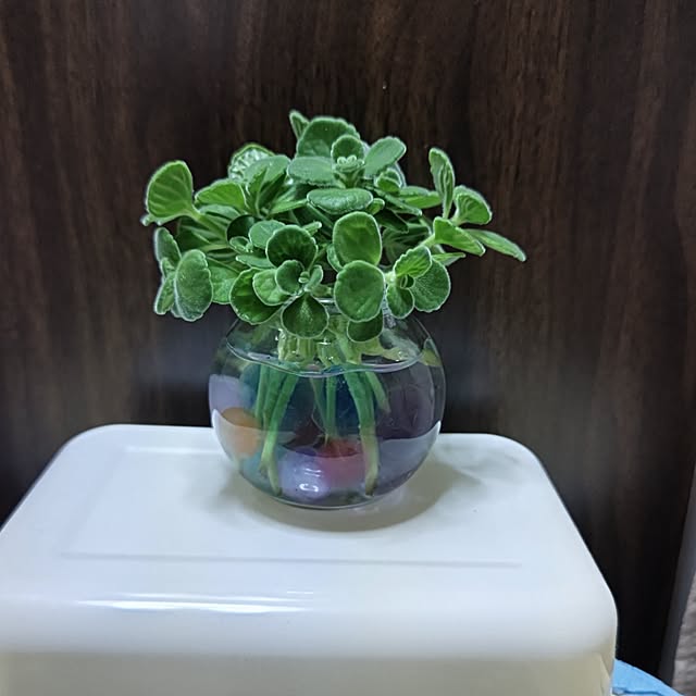 nonyukiさんの実例写真
