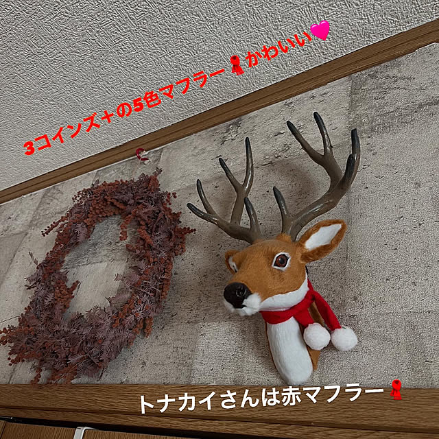 icietlaさんの部屋