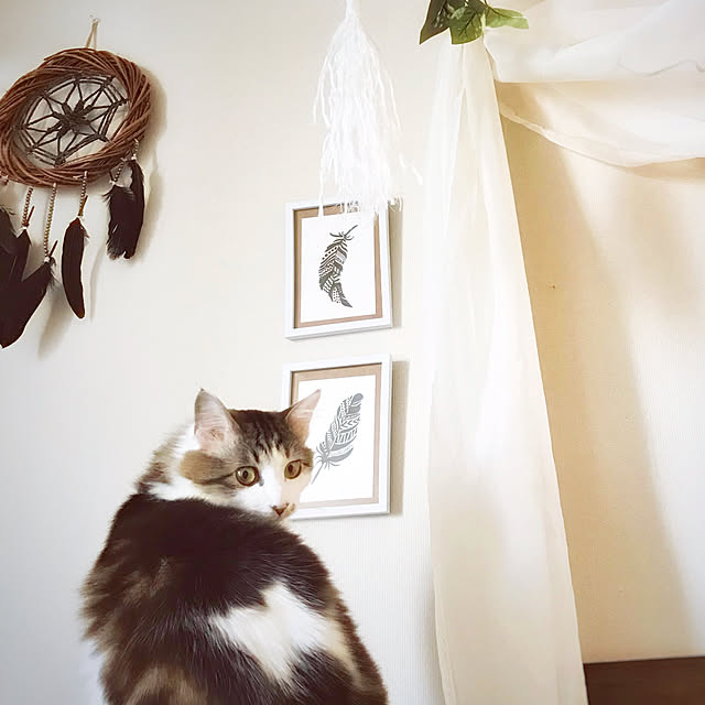 1633さんの実例写真