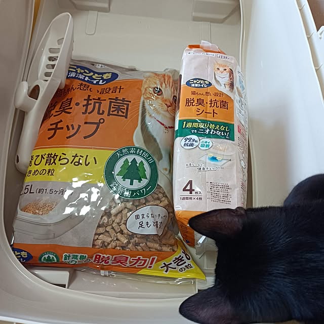 anayoikoさんの部屋