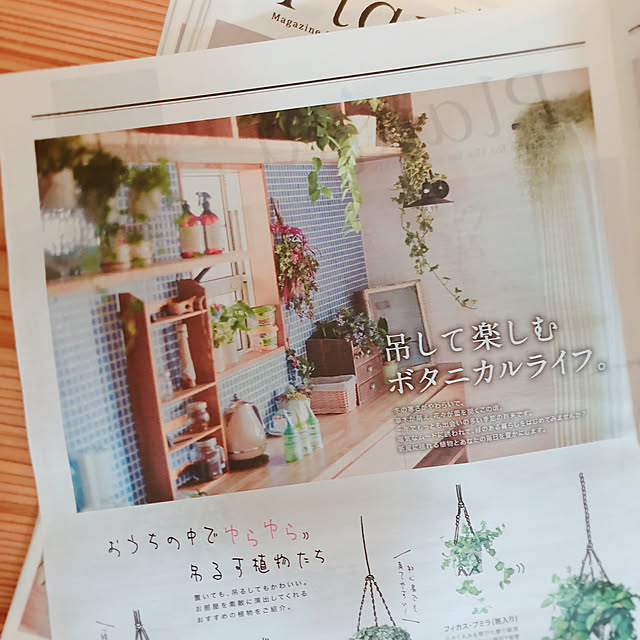 sudachiさんの実例写真