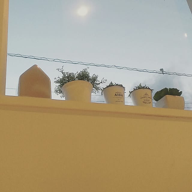 naoさんの実例写真
