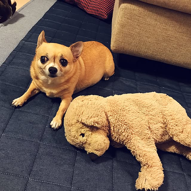 mamayuさんの実例写真