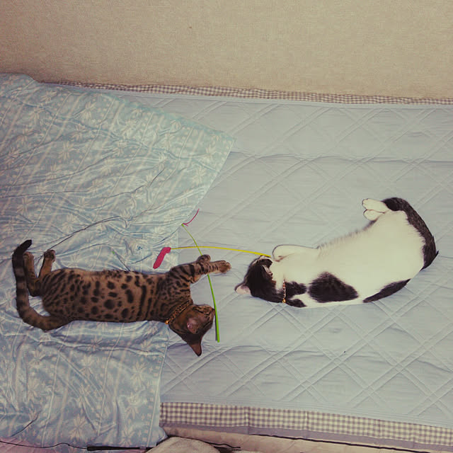 tenさんの実例写真