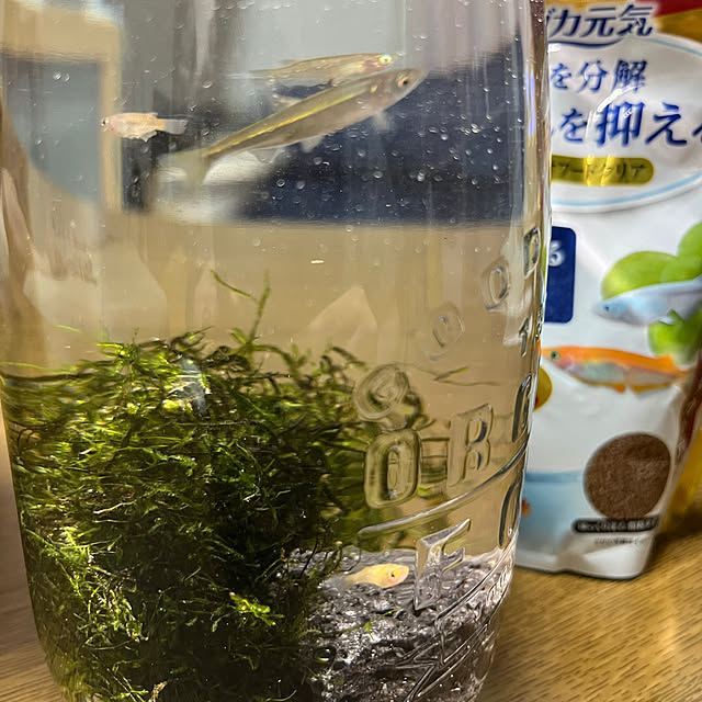 totokoさんの実例写真