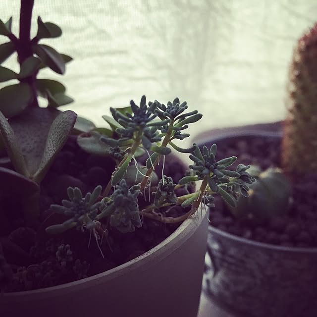 ecoさんの実例写真