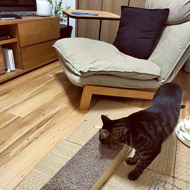 hihaさんの実例写真