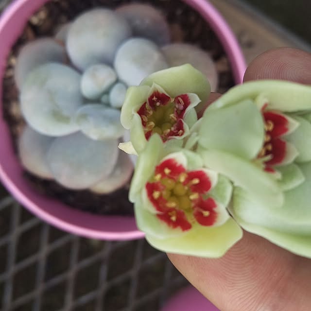 HIRO.TA29さんの実例写真