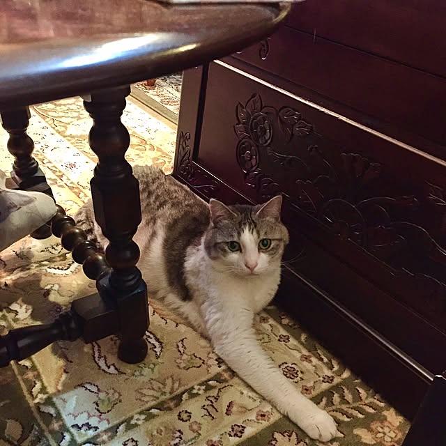 emmyyさんの実例写真