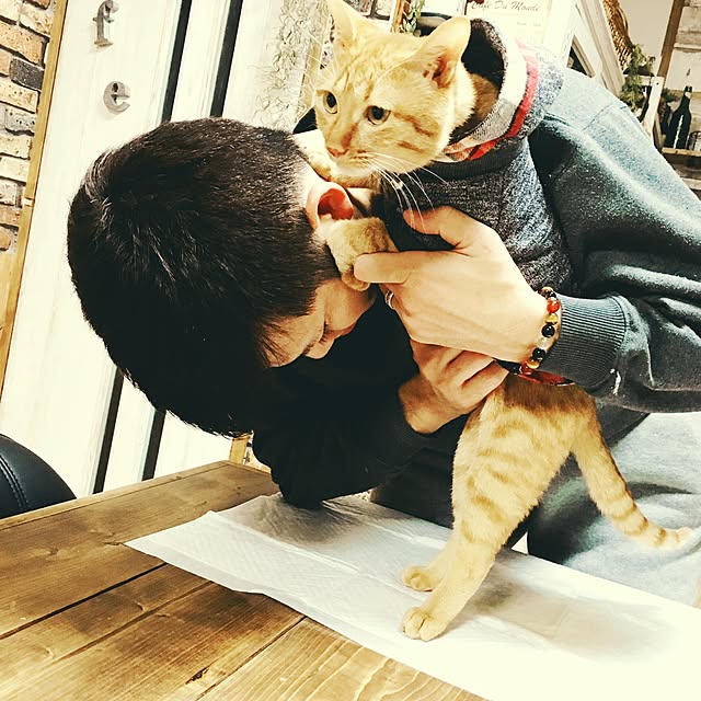 REINA612WORKSさんの実例写真