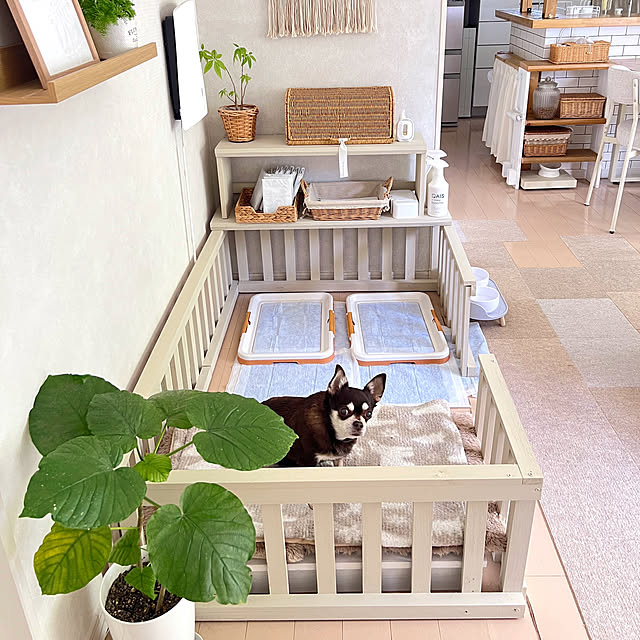 yumimaruさんの部屋