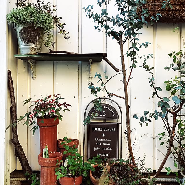 nidoneさんの実例写真