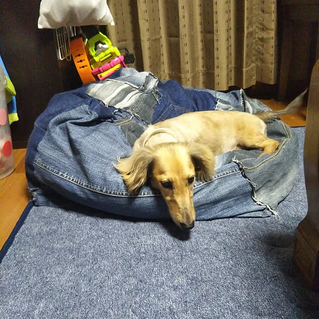Sakiさんの実例写真