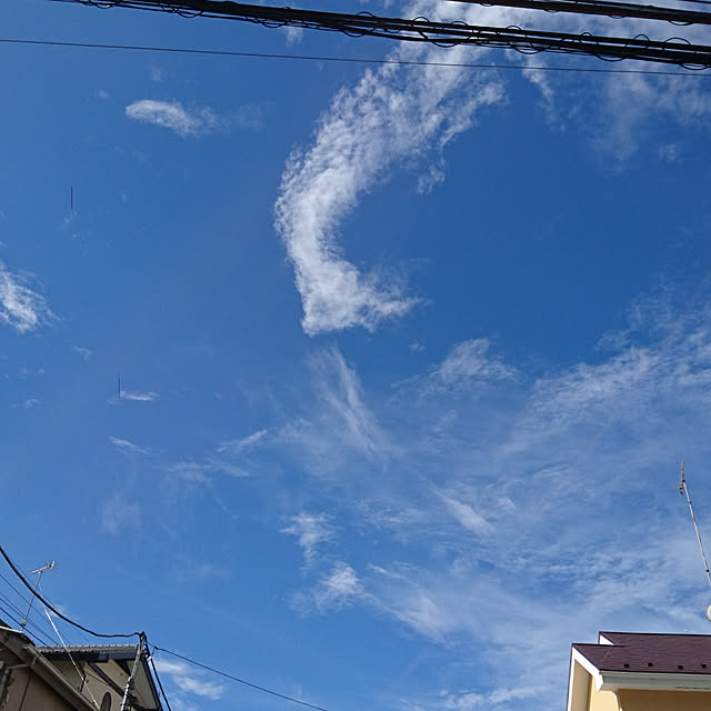 kii.na0112さんの実例写真