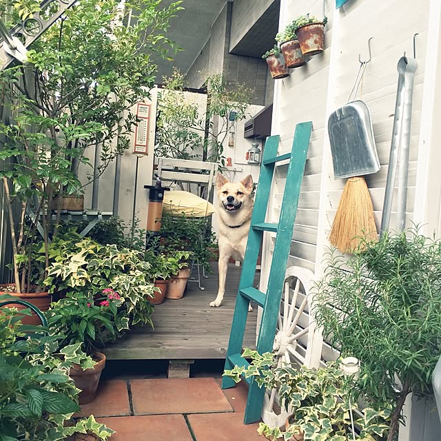 leonaさんの実例写真