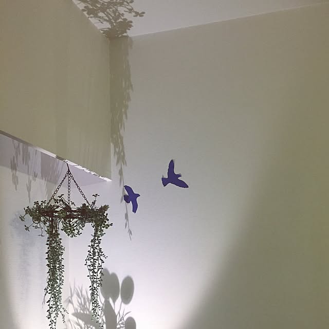 indigoblueさんの実例写真