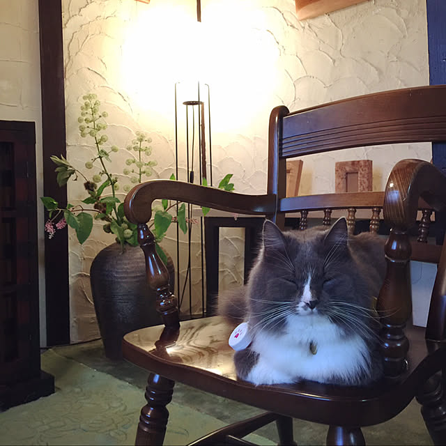 mangomilkさんの実例写真
