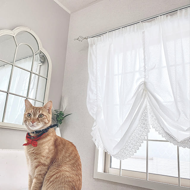 mii_home_39さんの実例写真