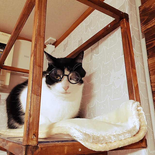 kazumiさんの実例写真