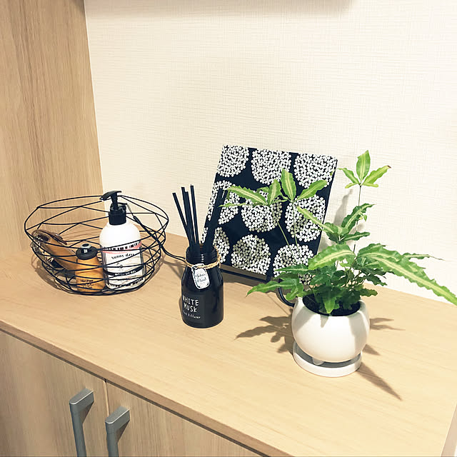 Leukoさんの実例写真