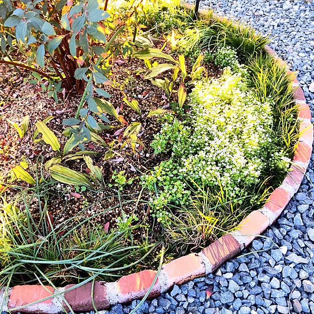 NSDさんの実例写真