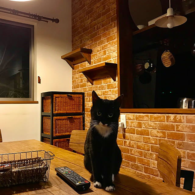 butachanさんの実例写真