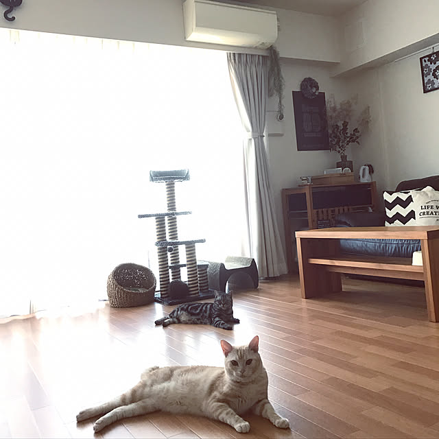 hiyupan88さんの実例写真