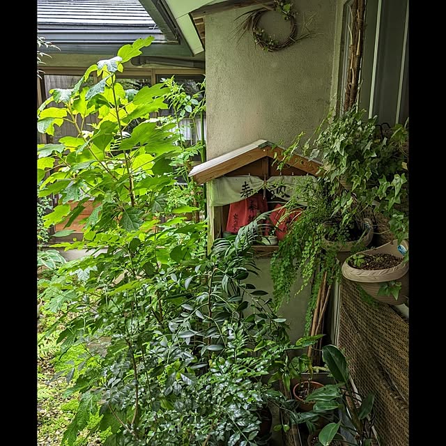 aromameさんの部屋