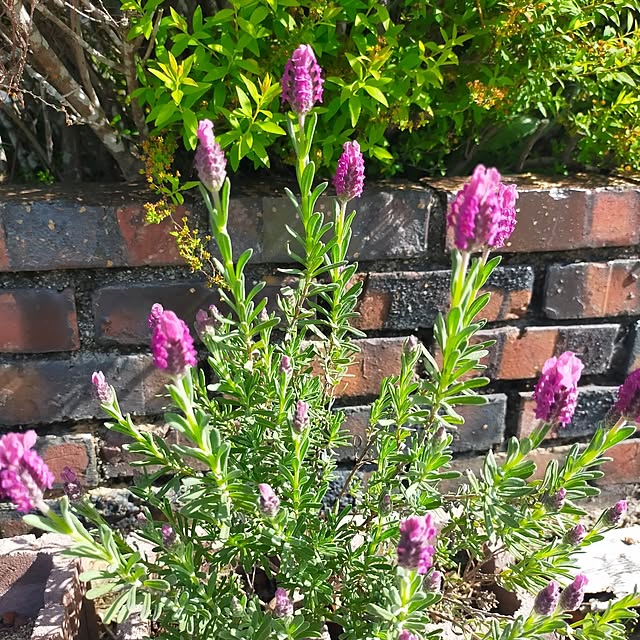 michiさんの部屋