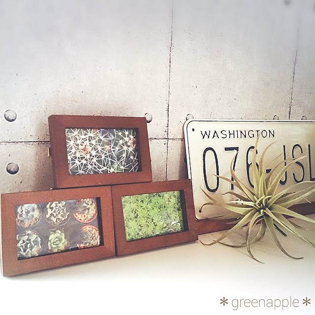greenappleさんの実例写真