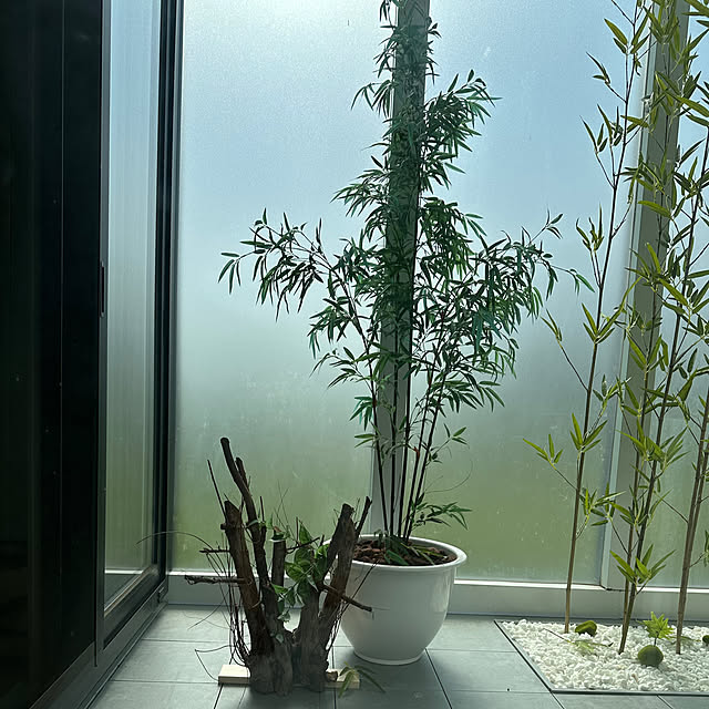 a.nさんの実例写真