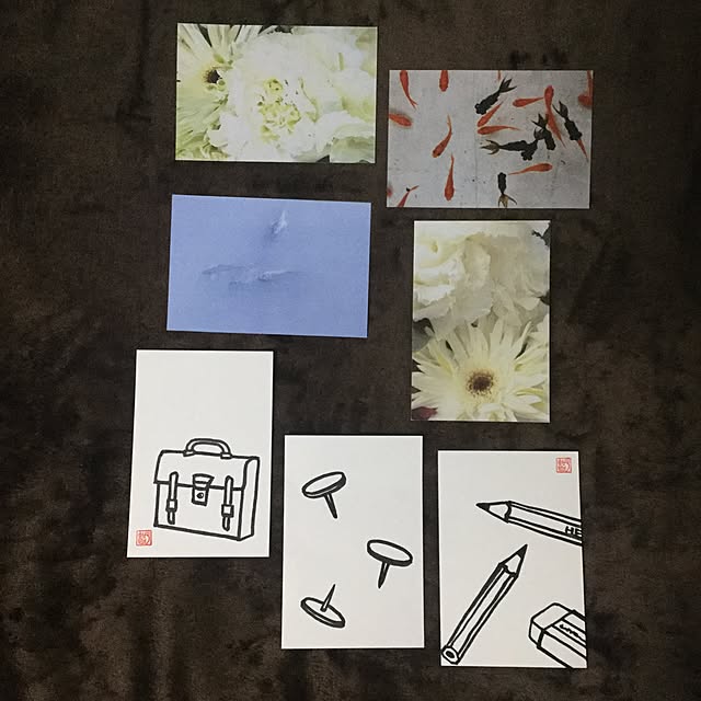 Colineさんの実例写真