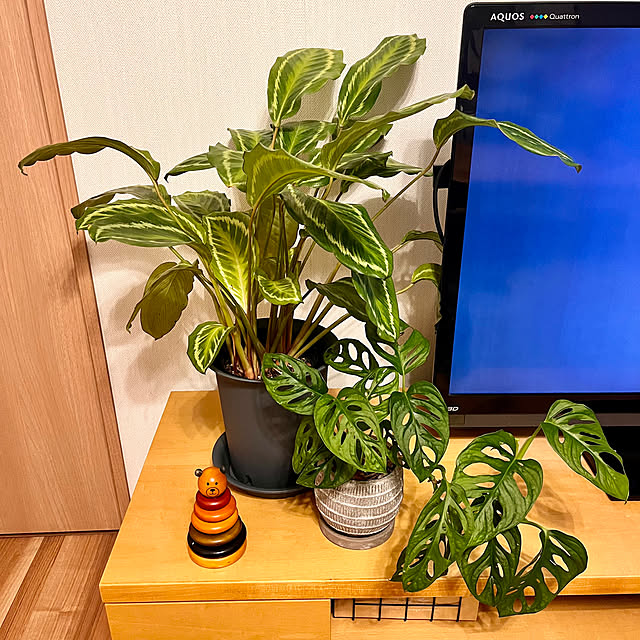 amさんの部屋