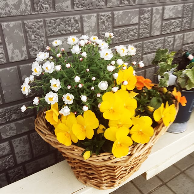 suzukoさんの実例写真