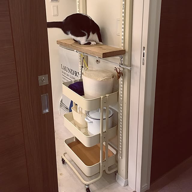 mikomaruさんの実例写真