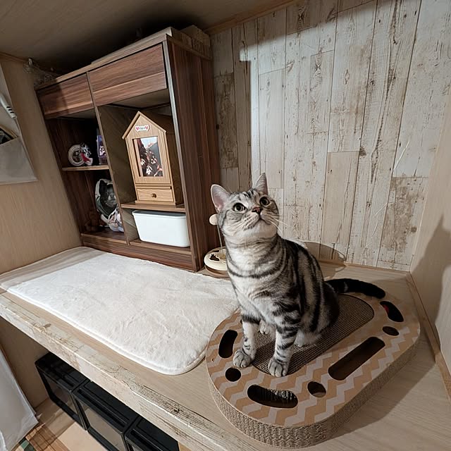 lovepeaceさんの部屋
