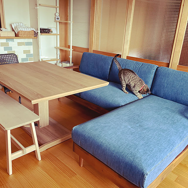 rasさんの実例写真